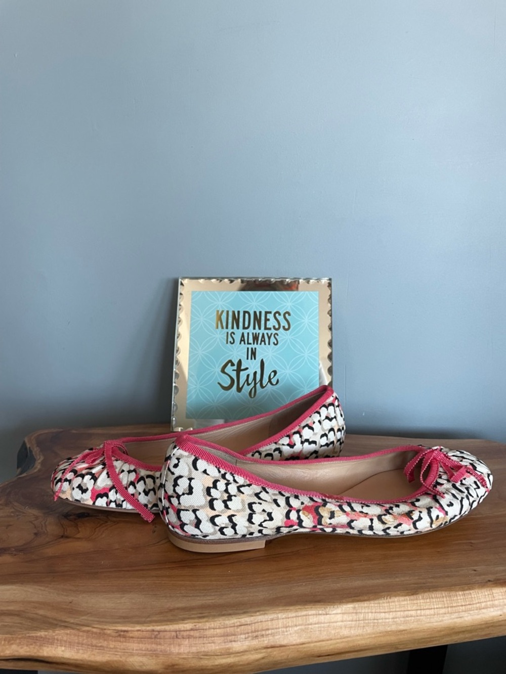 Longchamp Patterned Ballet Flats in Pink and Black